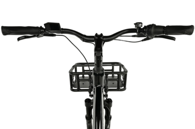 CURTIS - 24'' - Sort