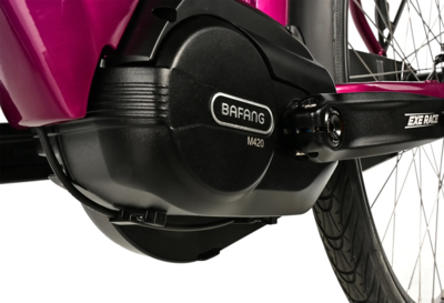 NEBA  - Pink 2025