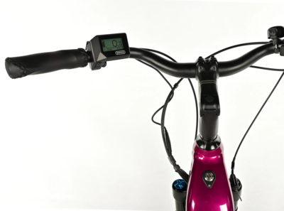 NEBA  - Pink 2025