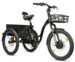 CURTIS - 24'' - Sort