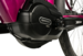 NEBA  - Pink 2025